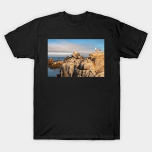 Rocky T-Shirt